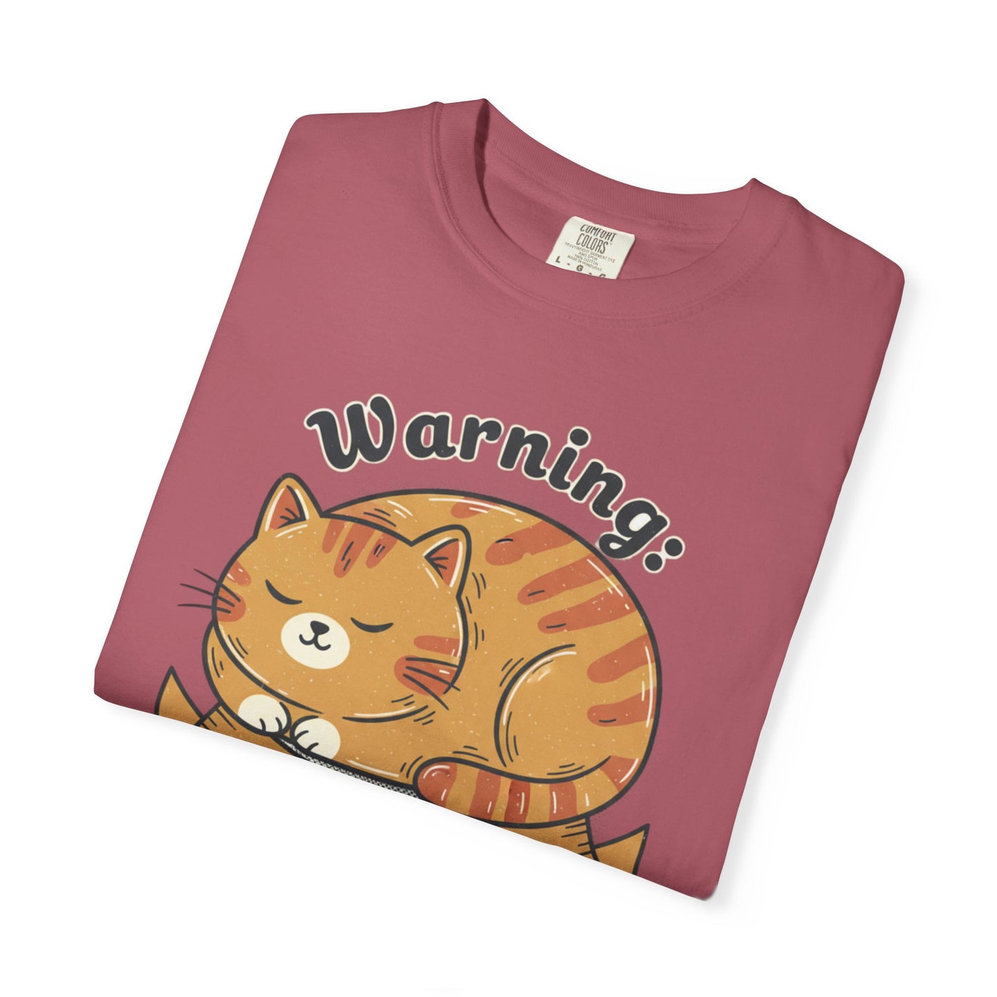 Warning may nap at anytime T-shirt | Sleeping Orange Cat