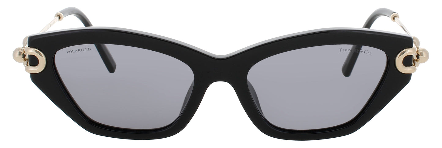 Tiffany & Co Tf4231u Sunglasses
