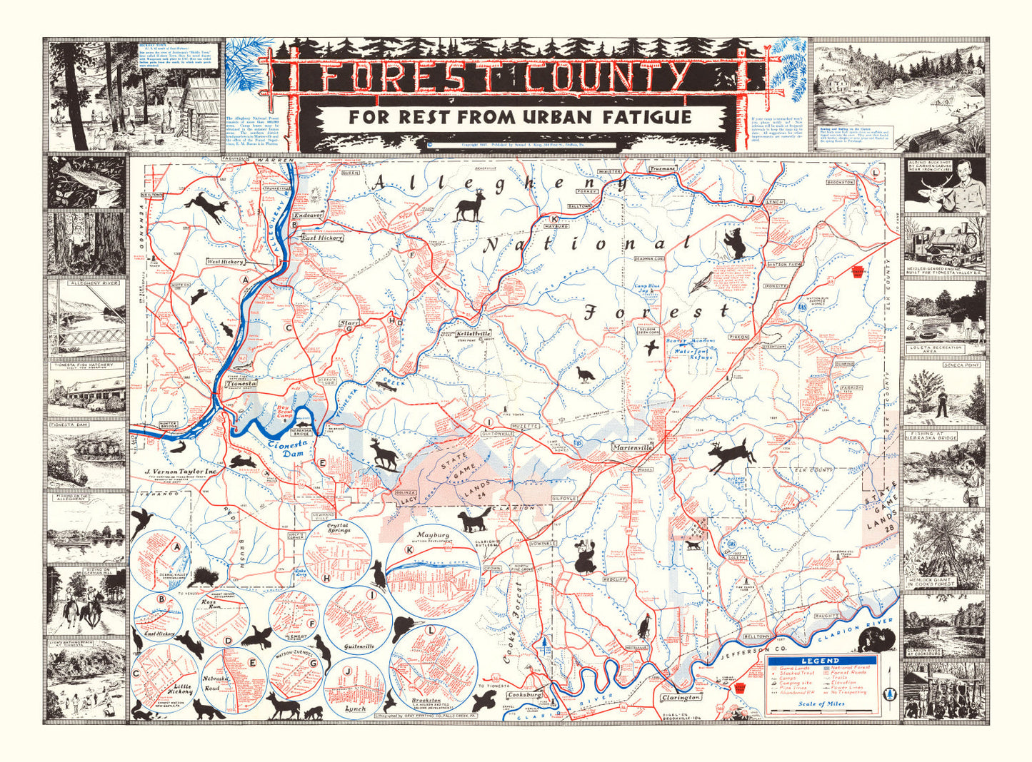 Vintage Map of Forest County, California 1957