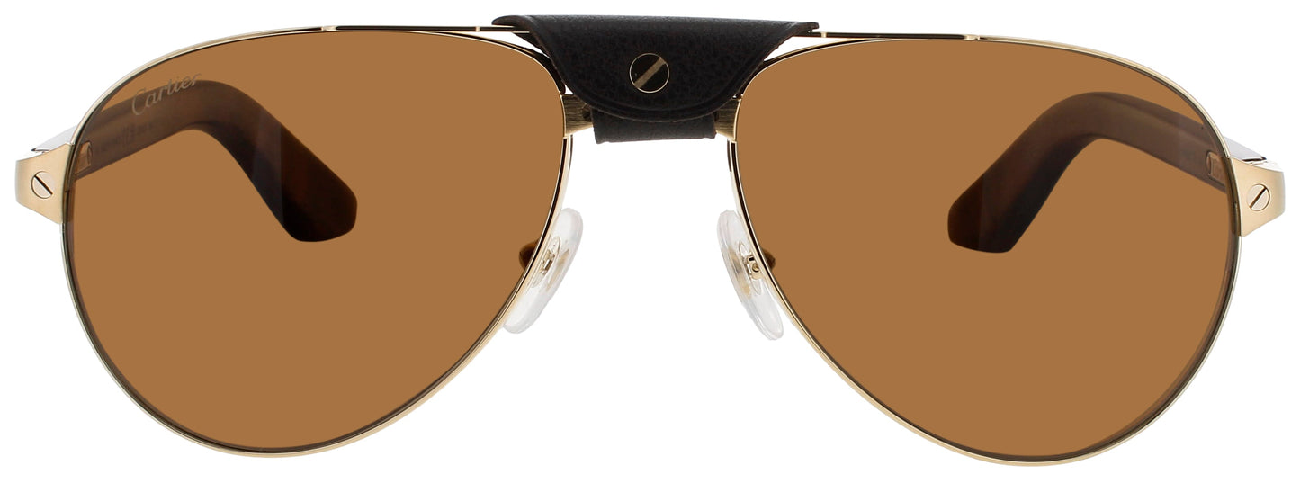 Cartier Ct0495s Sunglasses