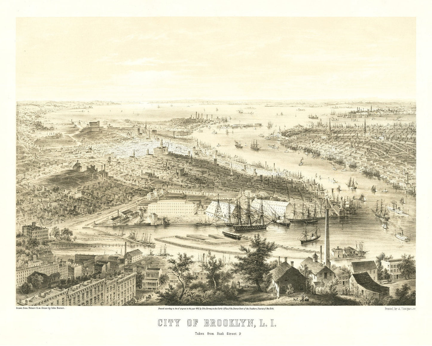 Vintage Map of Brooklyn, New York 1855