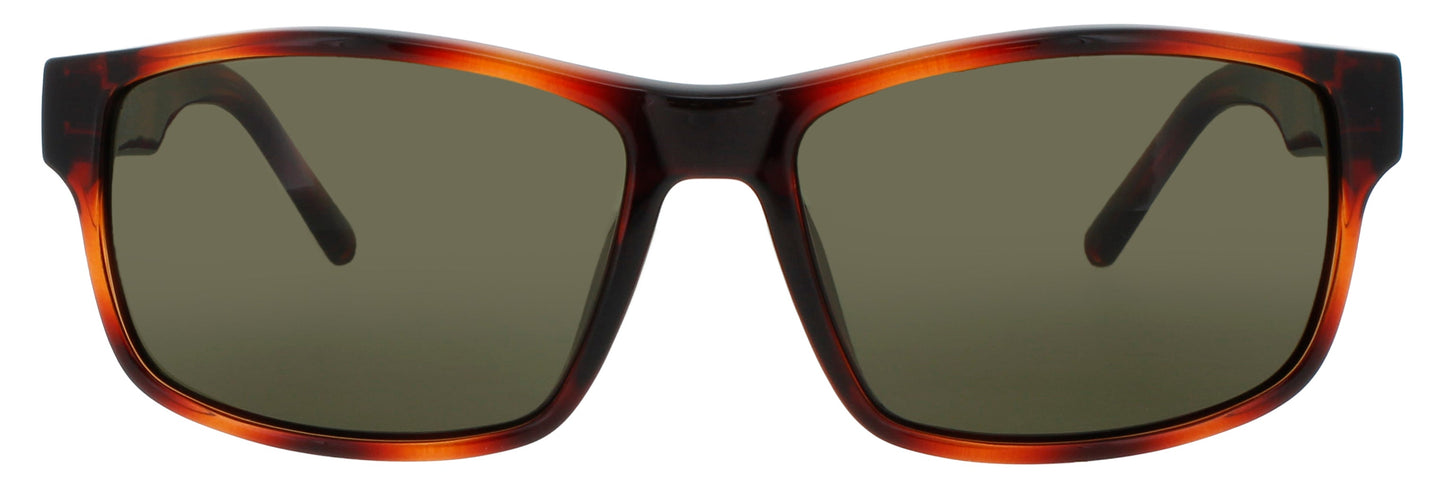 Salvatore Ferragamo Sf960s 214 Sunglasses