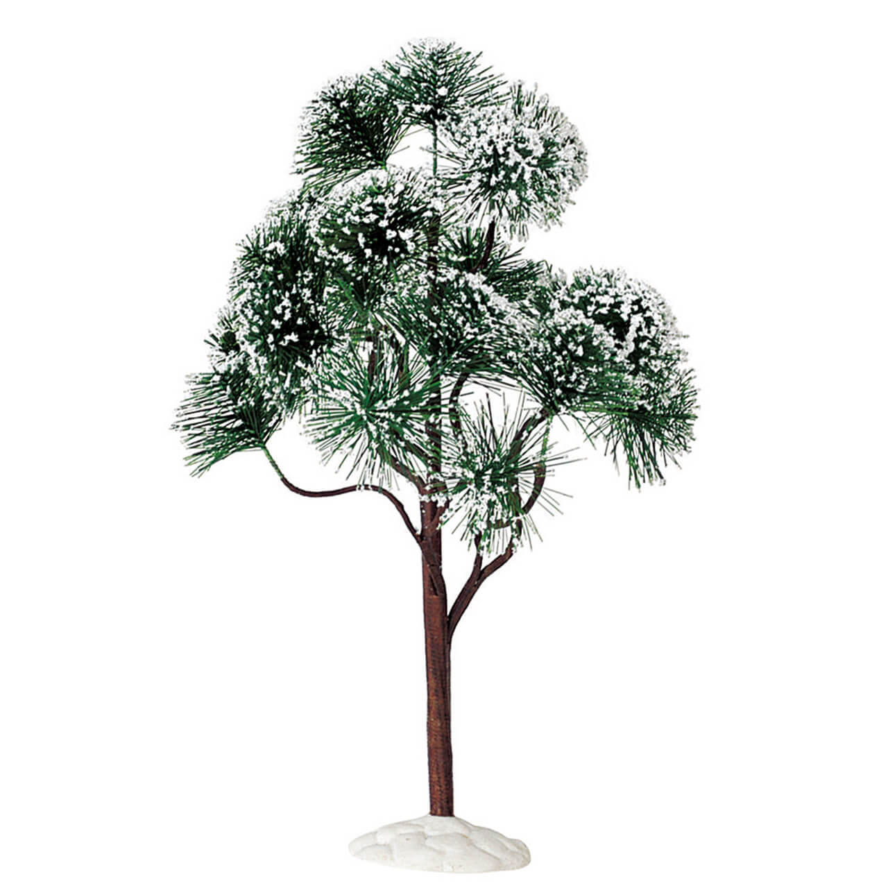 Mountain Pine - Extra Large