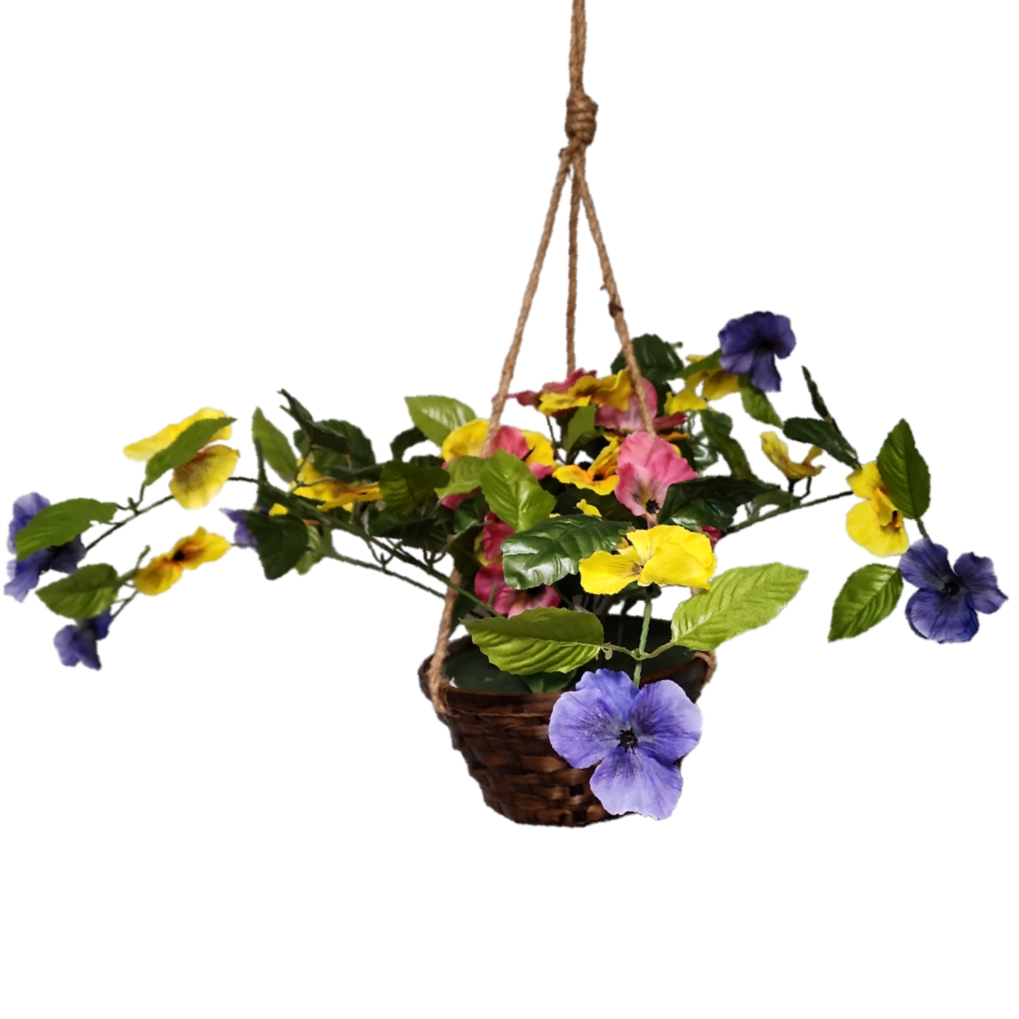 Trailing Pansy Flowers in 8" Hanging Bamboo Basket -