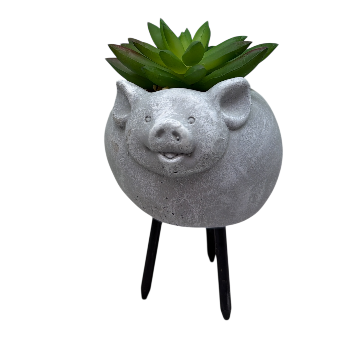Faux Green Succulent In Planter - Pig
