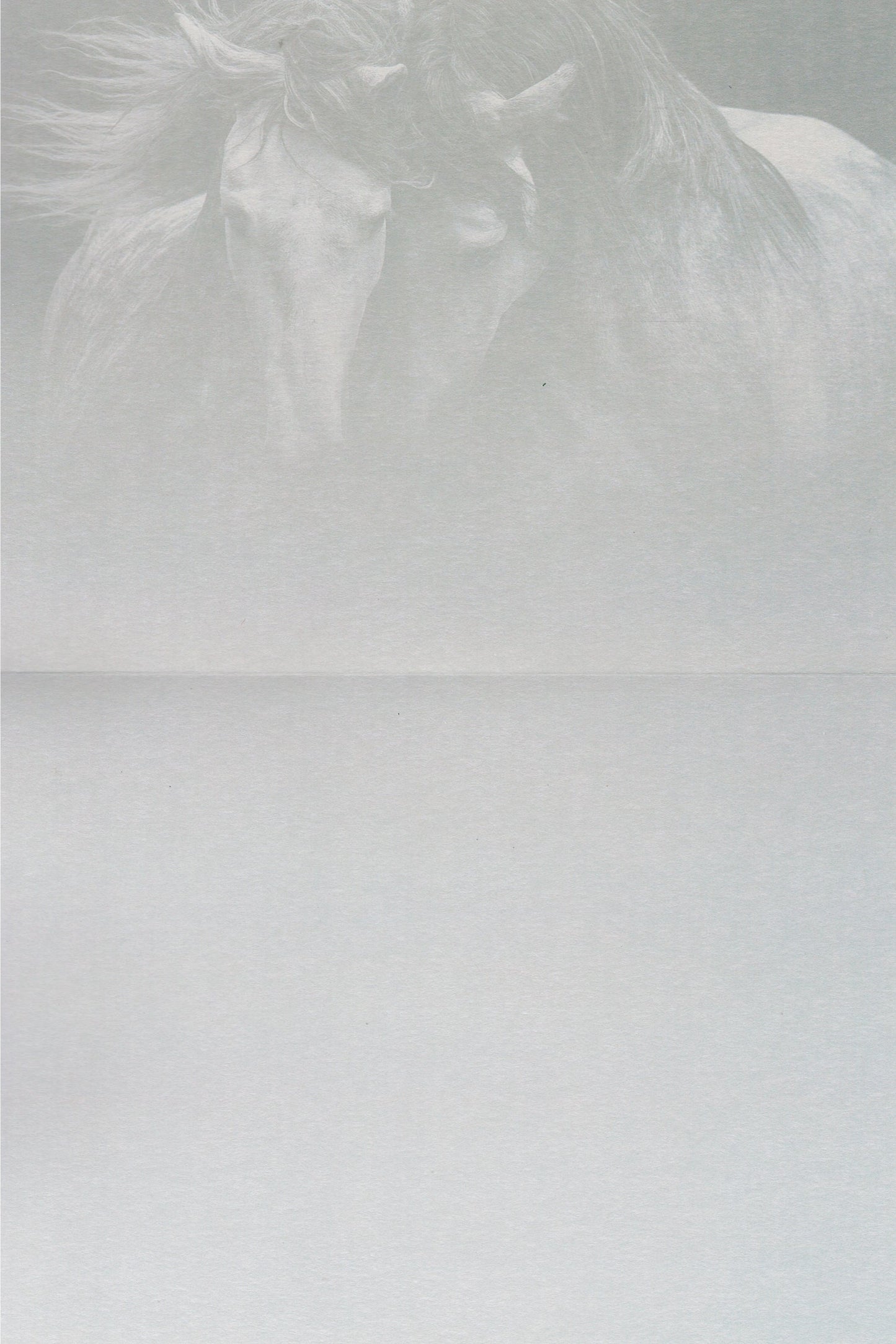 Kindred Spirits Greeting Card - Blank Card