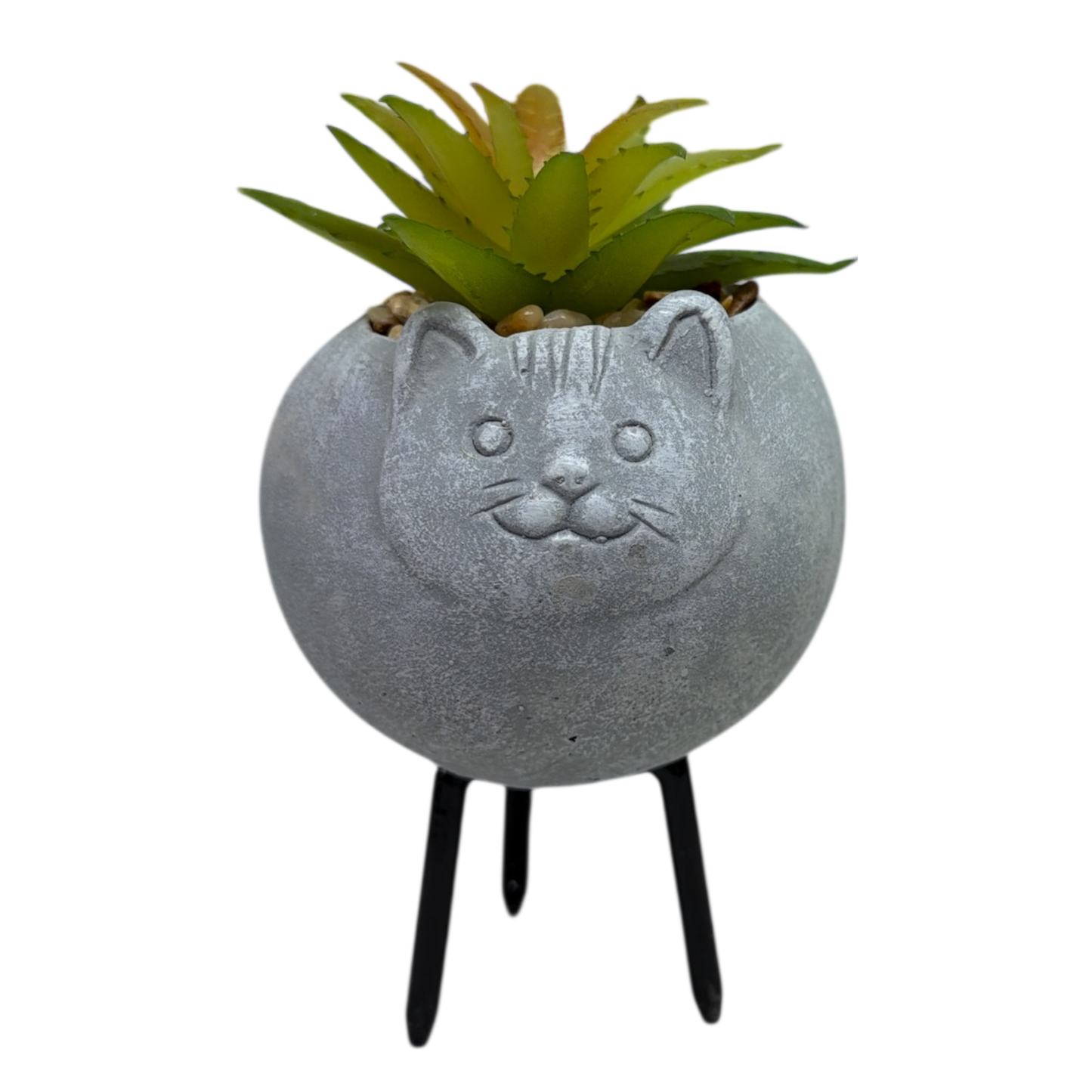 Faux Light Green Succulent In Planter - Cat