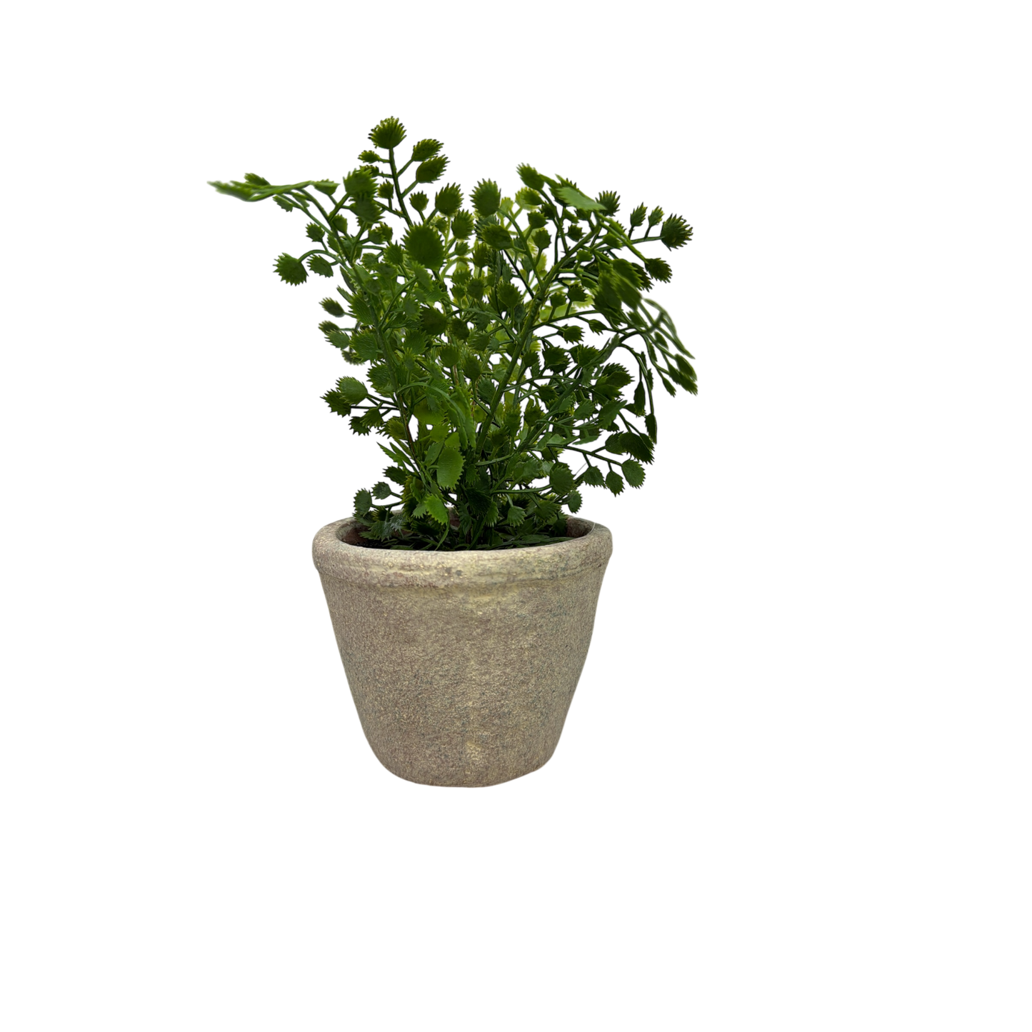 Faux Fern in Cement Pot
