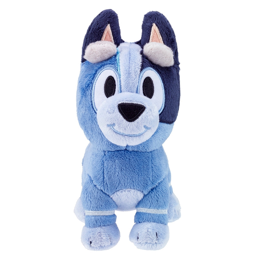 Socks of Bluey Plush