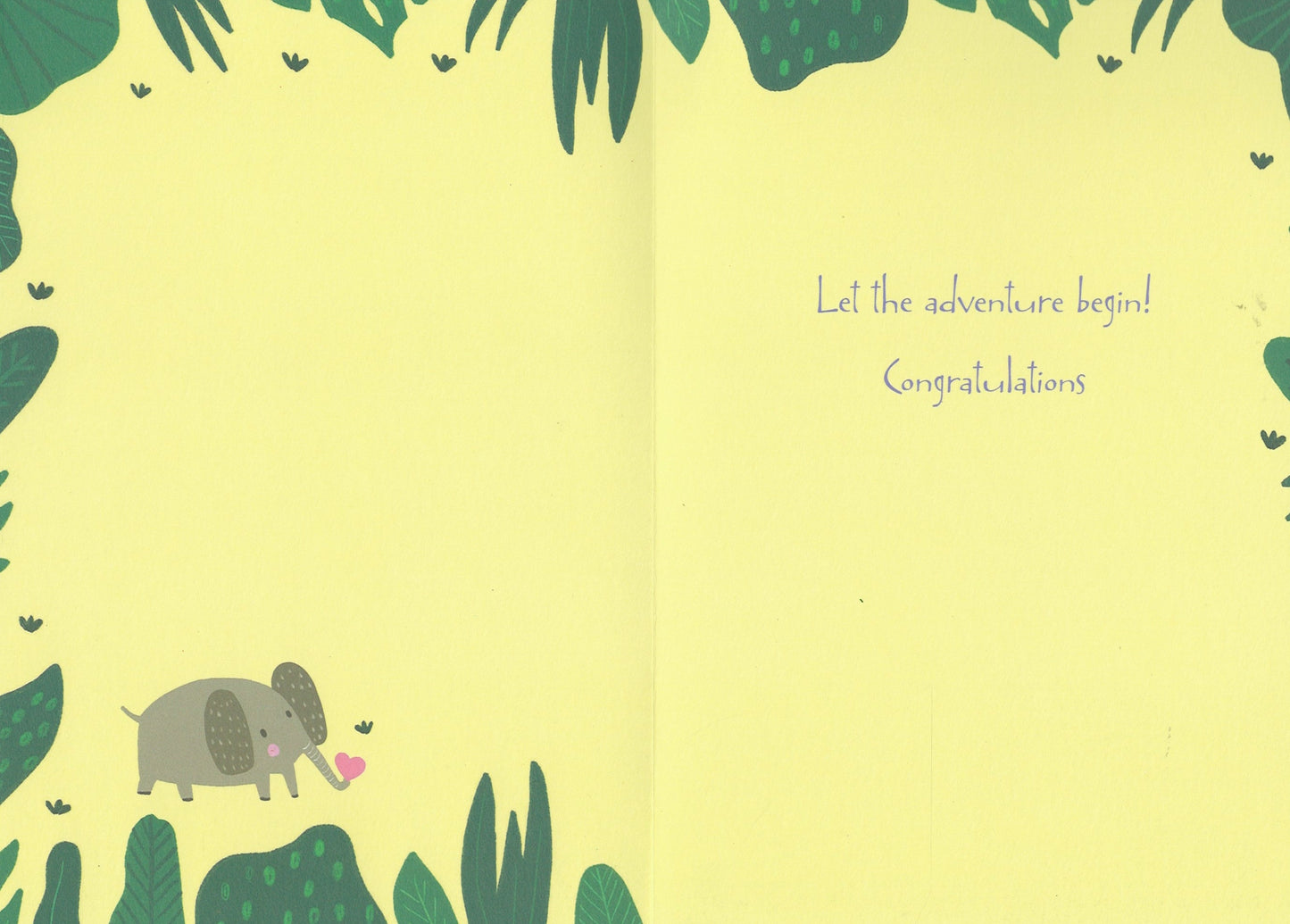Welcome Little Friend - New Baby Card
