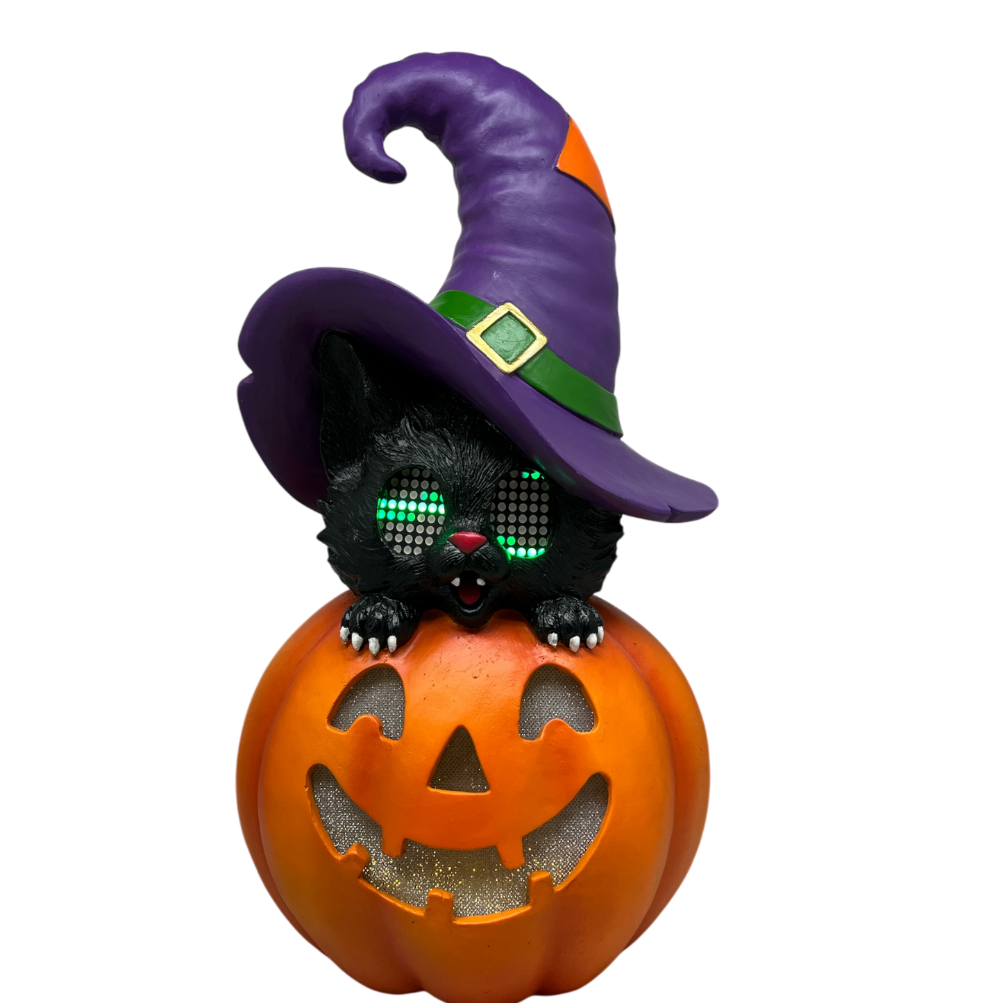 Cat On Pumpkin With Moving Digital Eyes