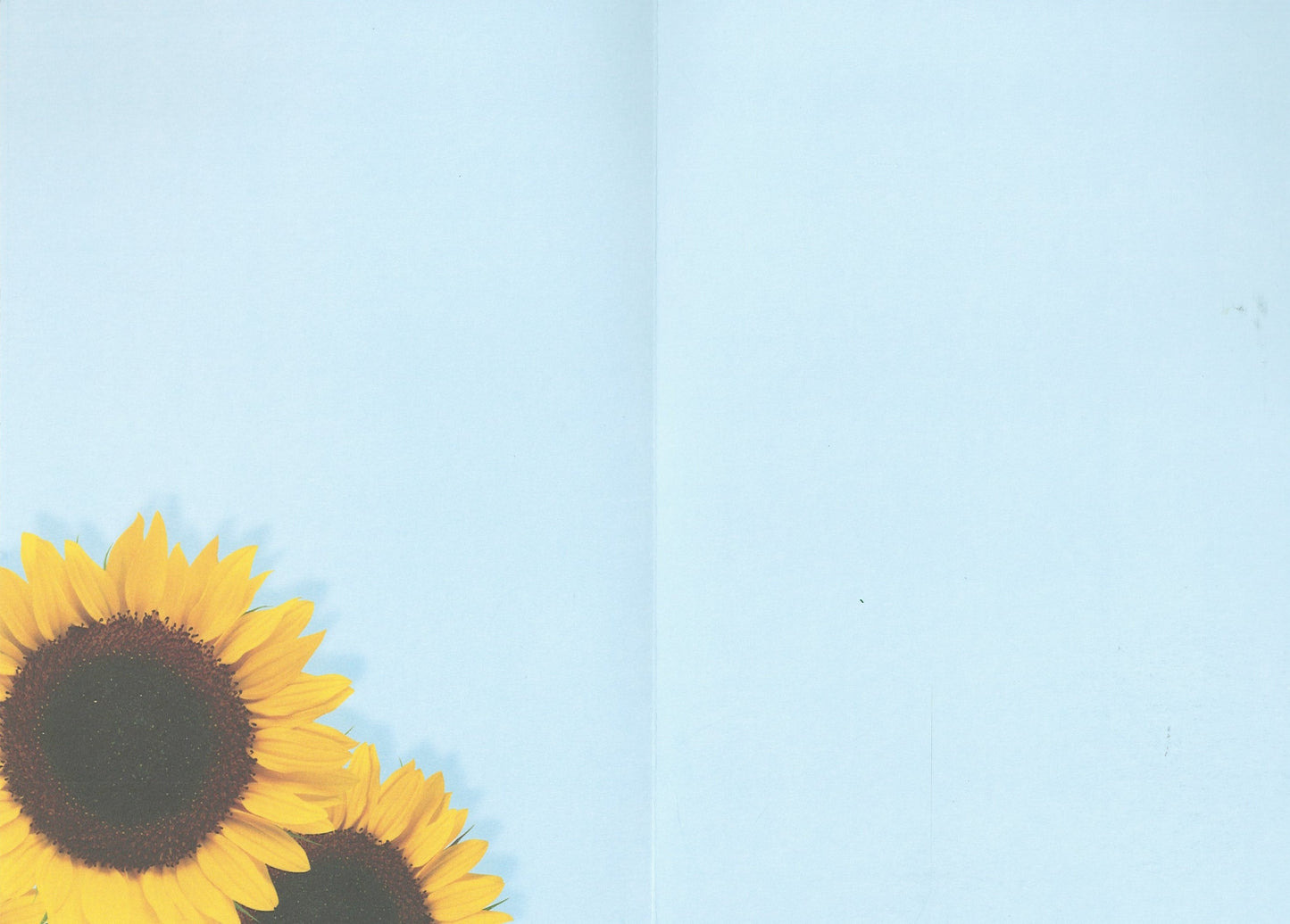 Sunflower Barn Greeting Card - Blank Card