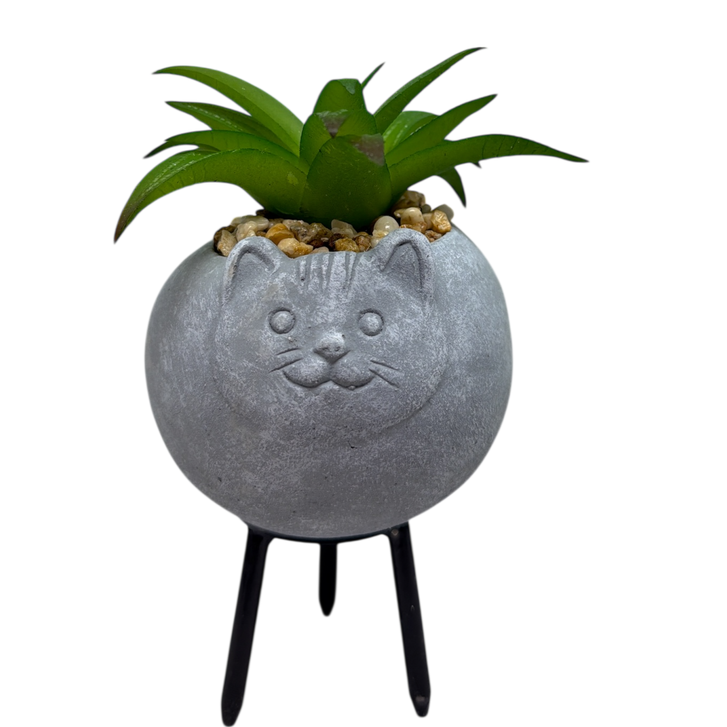 Faux Green Succulent In Planter - Cat