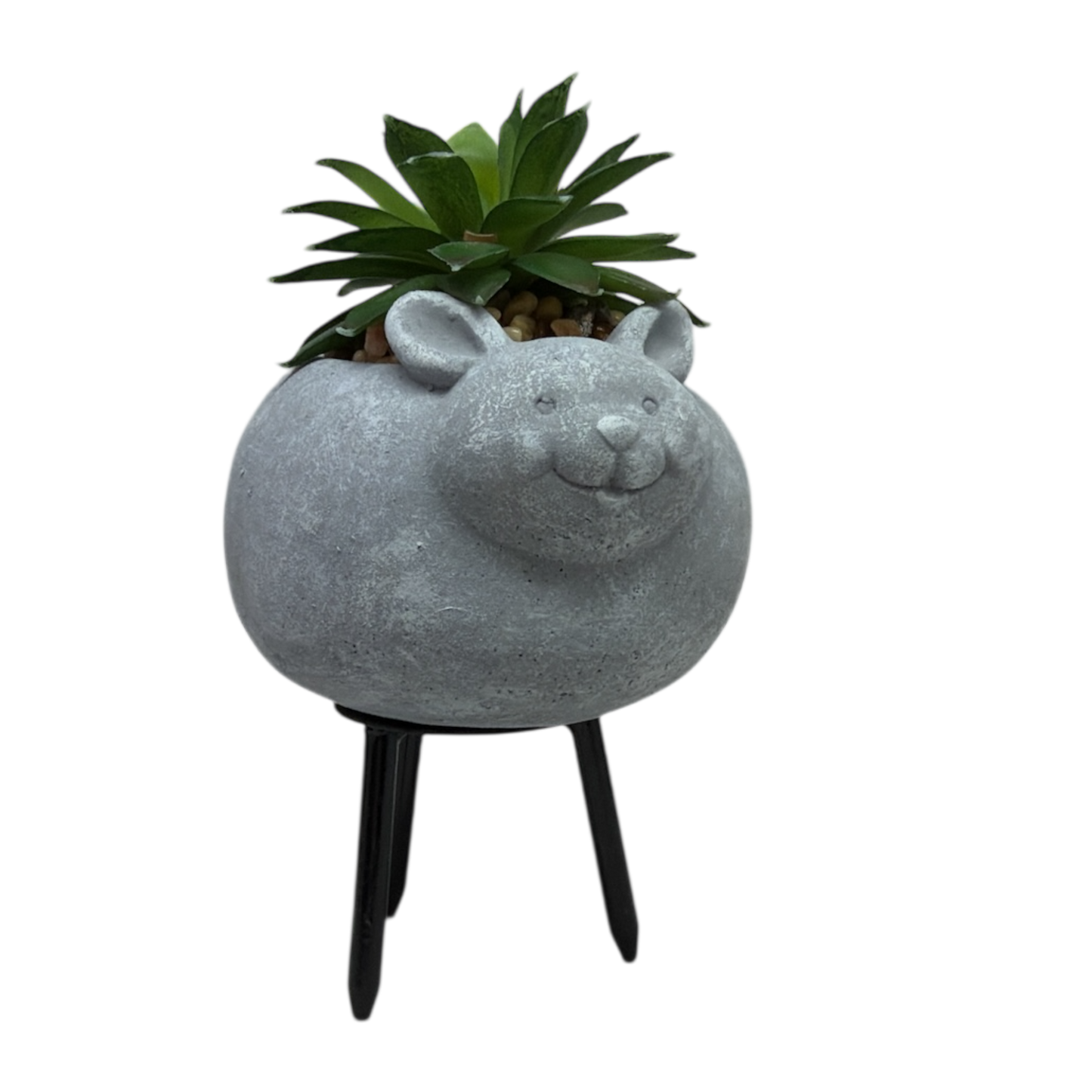 Faux Green Succulent In Planter - Mouse