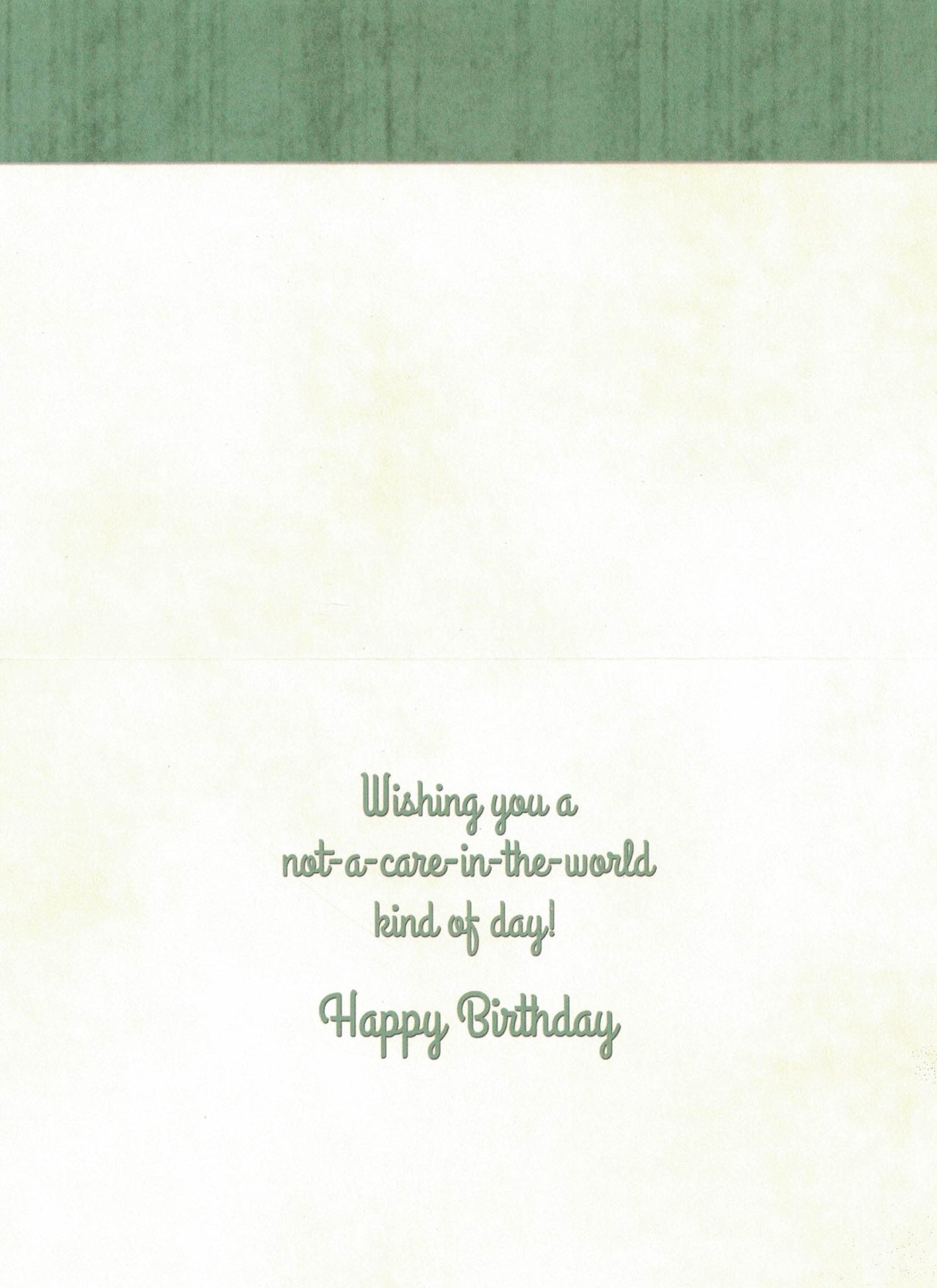 Birthday Card - Not A Care In The World