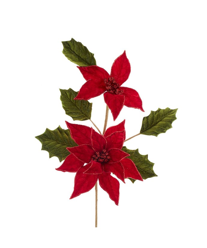 Holly And Poinsettia Pick