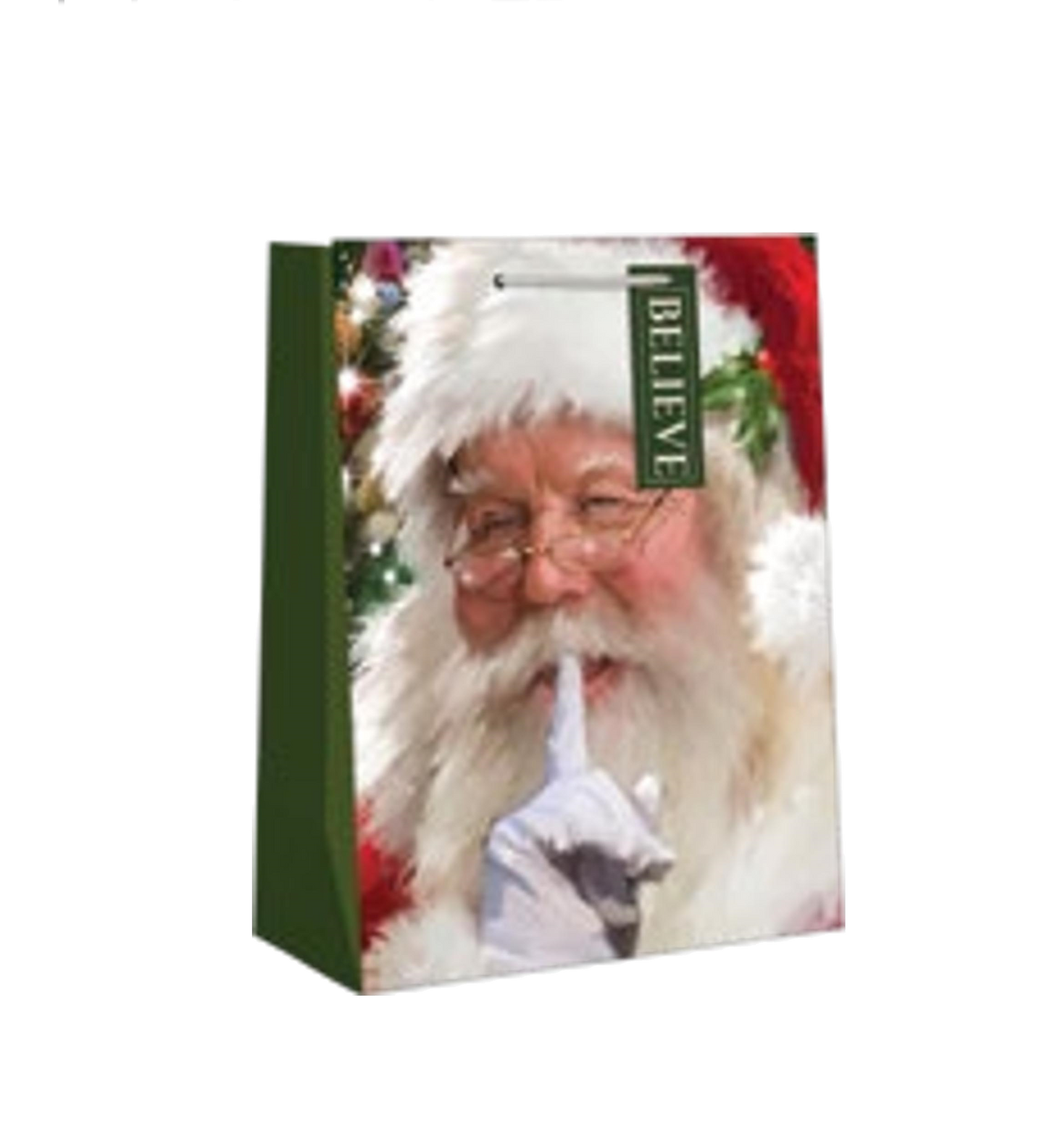 Traditional Small Gift Bag - Santa
