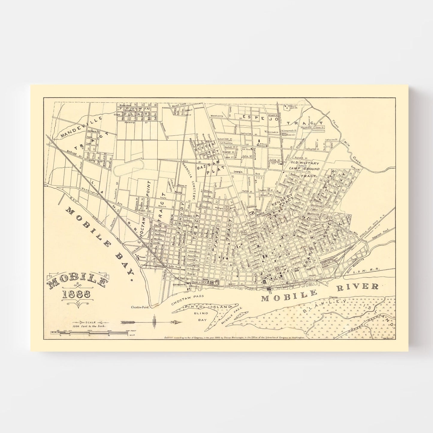 Vintage Map of Mobile, Alabama 1888