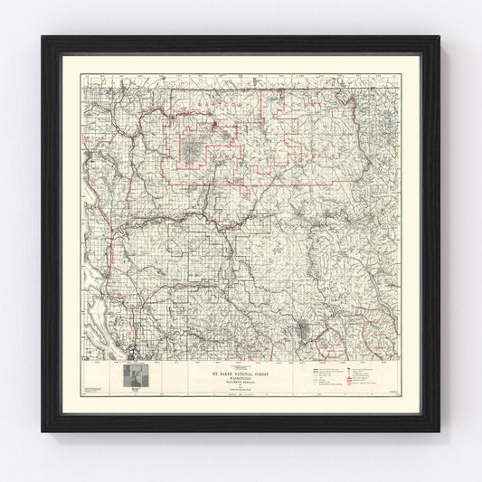 Vintage Map of Mt. Baker National Forest 1931