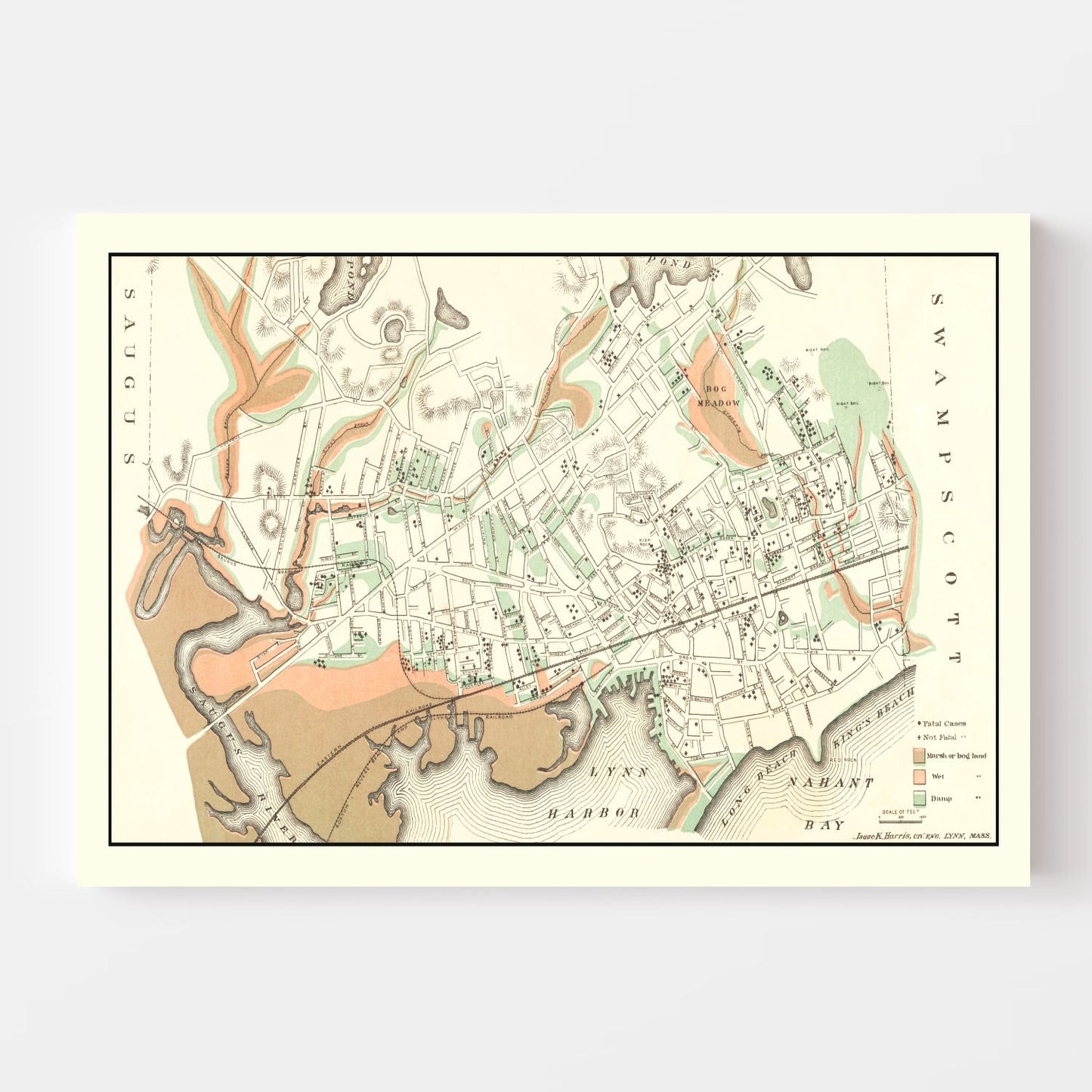 Vintage Map of Lynn, Massachusetts 1876