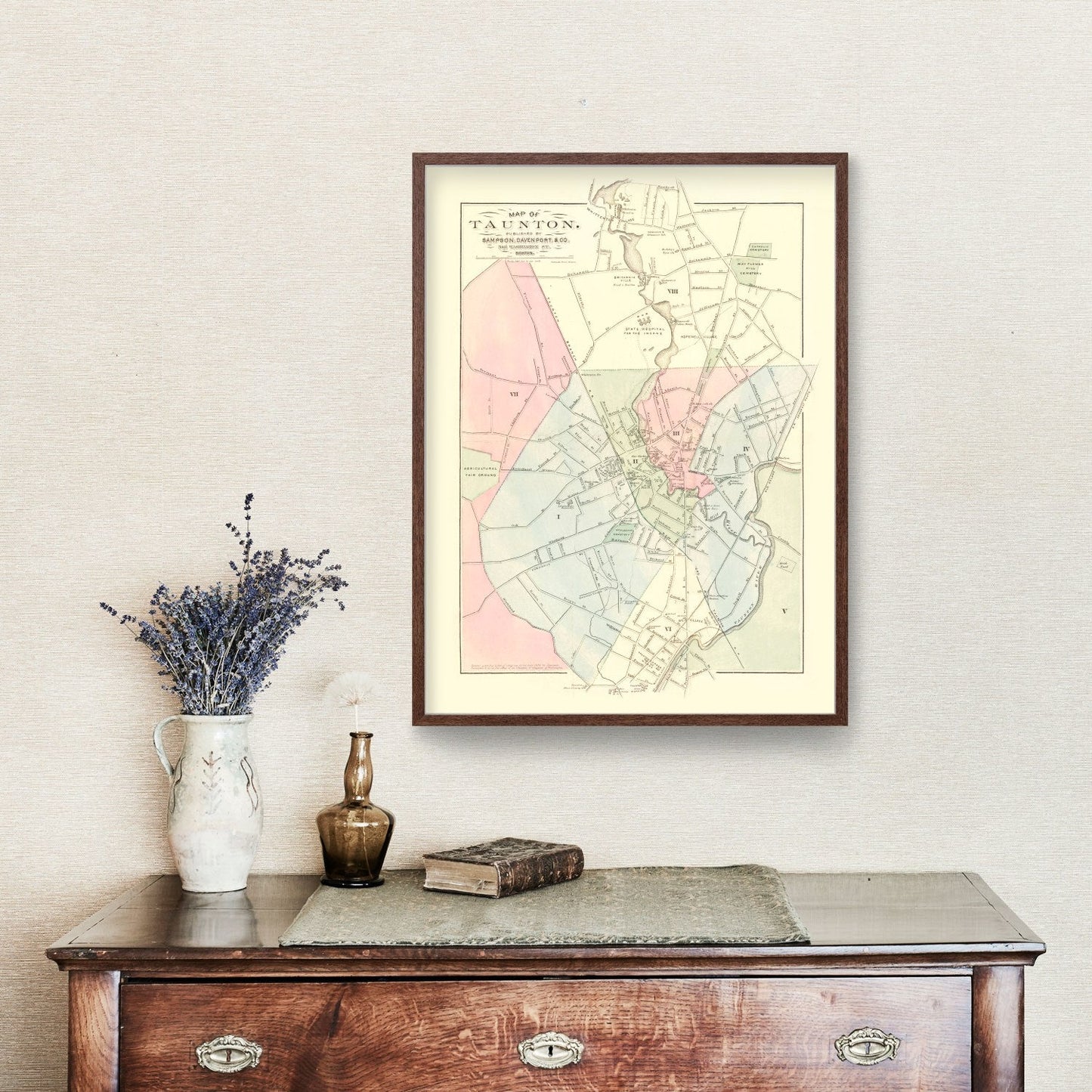 Vintage Map of Taunton, Massachusetts 1874