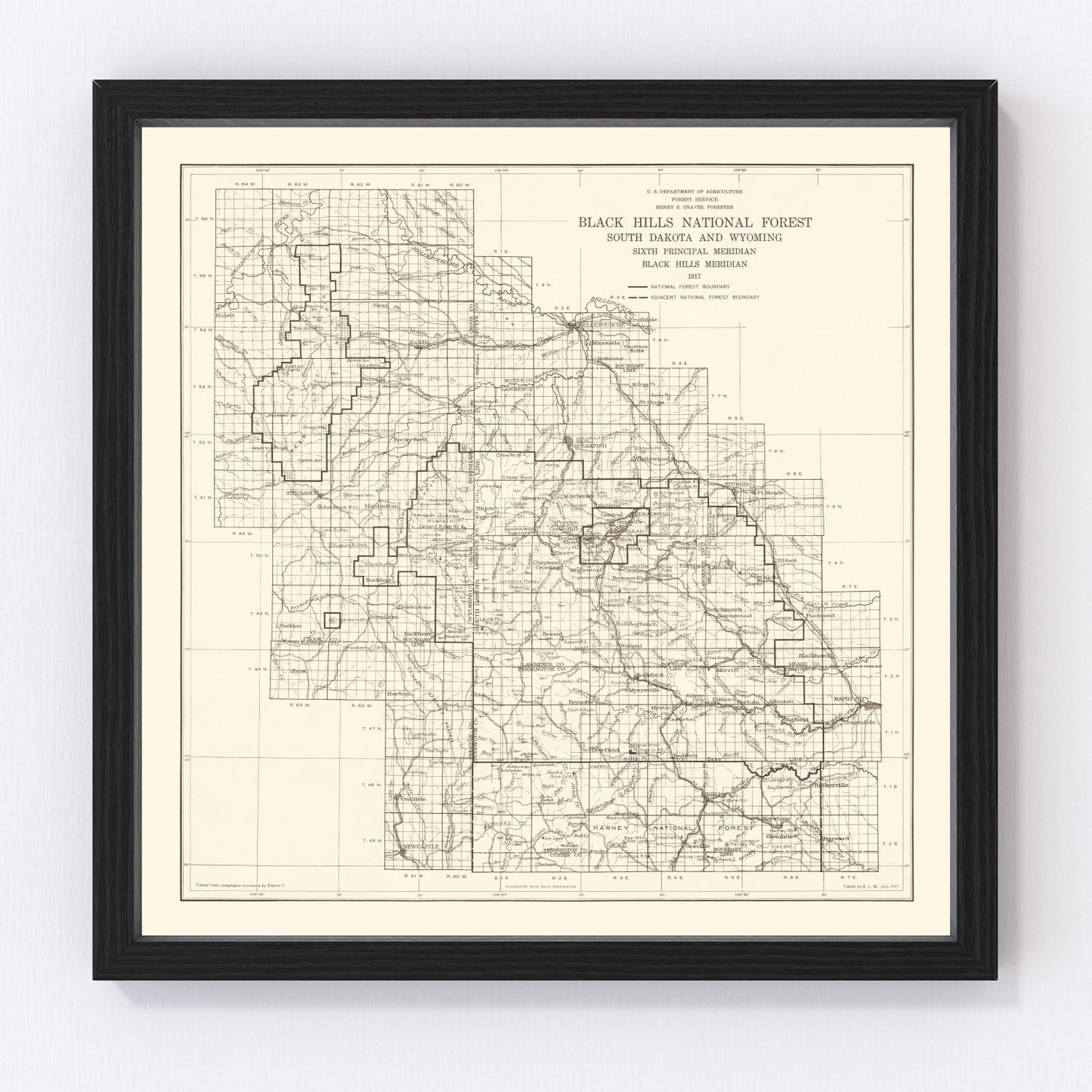 Vintage Black Hills National Forest Map 1917