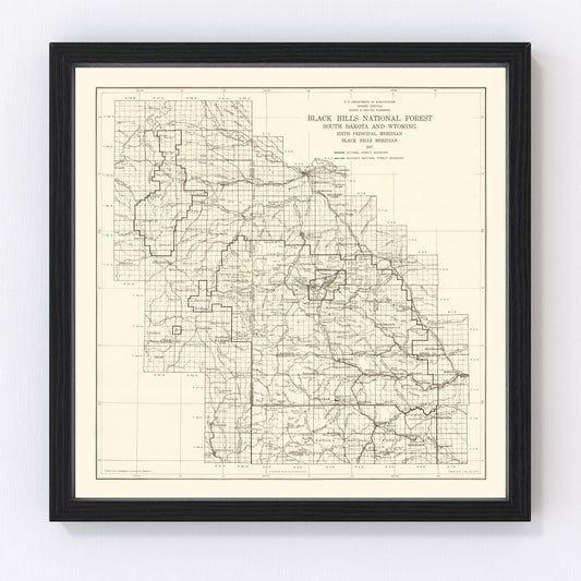 Vintage Black Hills National Forest Map 1917