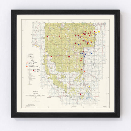 Vintage Black Hills National Forest Map 1962