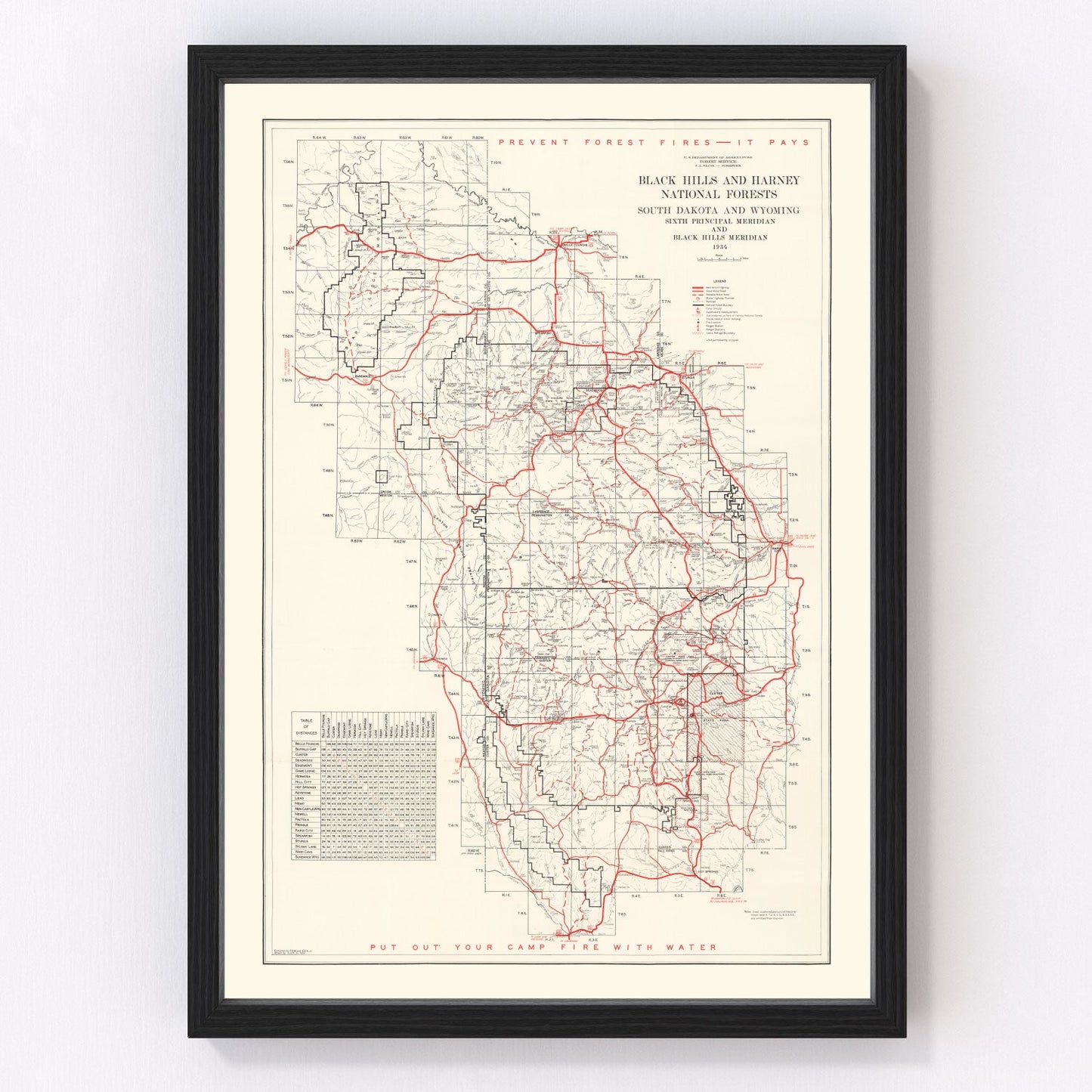 Vintage Black Hills & Harney National Forest Map 1934