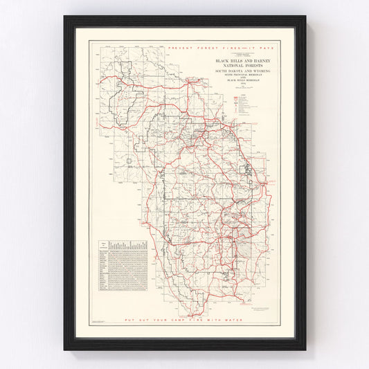 Vintage Black Hills & Harney National Forest Map 1934
