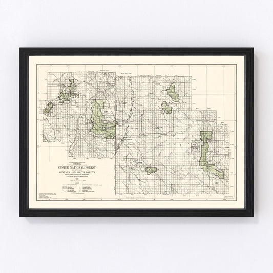 Vintage Custer National Forest Map 1938