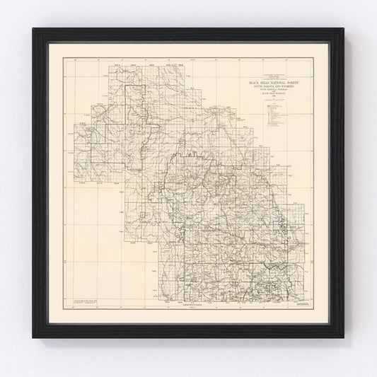 Vintage Harney National Forest Map 1939