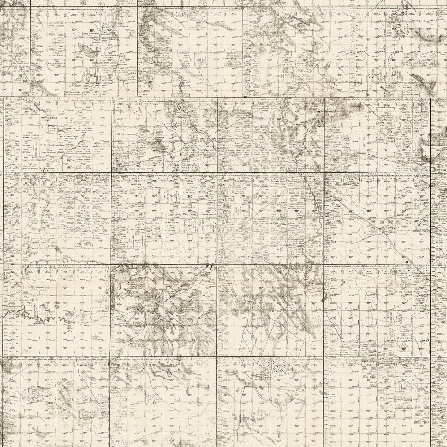 Vintage Map of Tripp County, South Dakota 1908