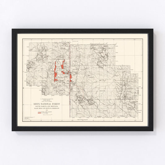 Vintage Sioux National Forest Map 1919