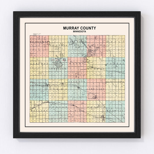 Vintage Map of Murray County, Minnesota 1907