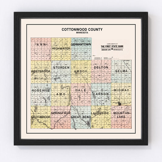 Vintage Map of Cottonwood County, Minnesota 1907