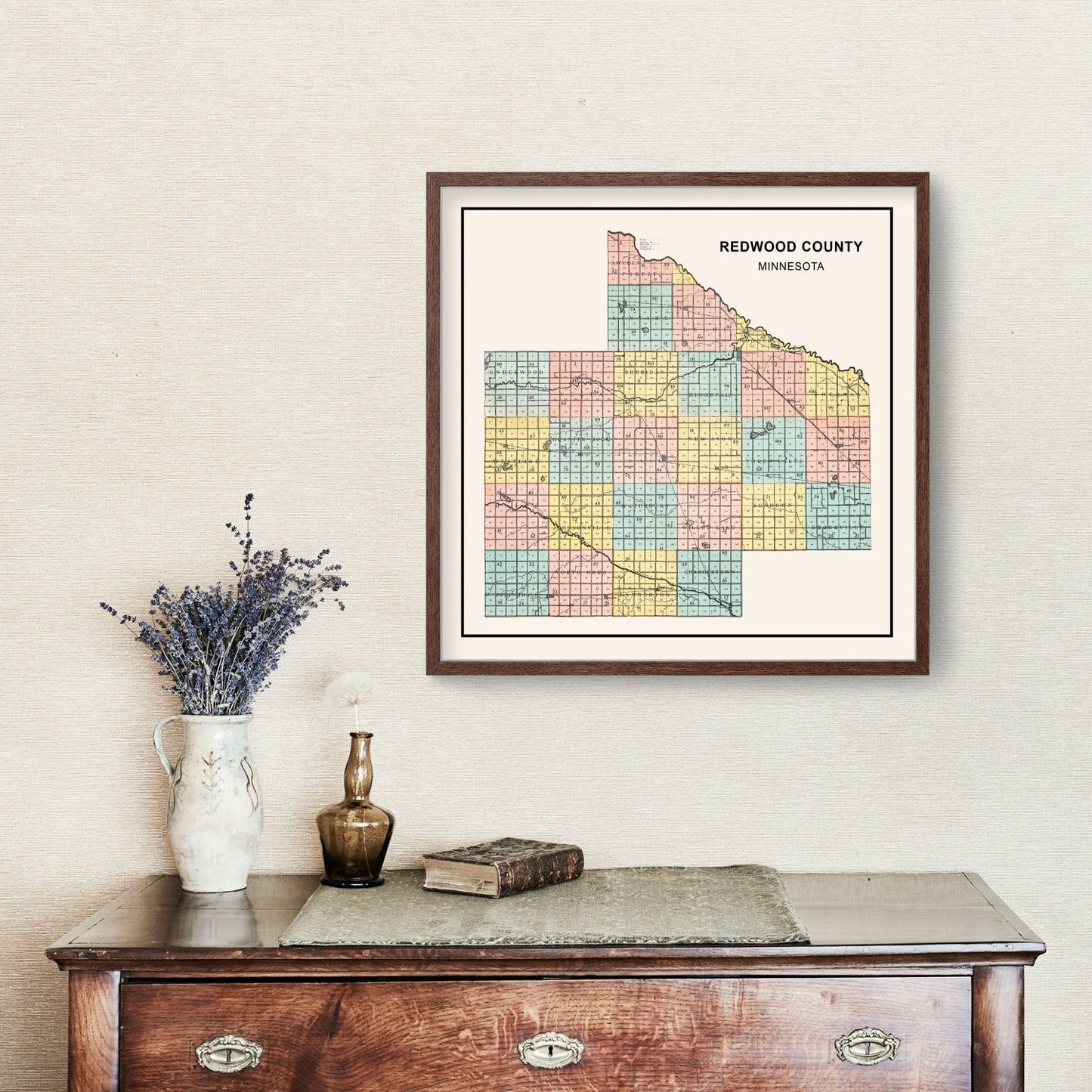 Vintage Map of Redwood County, Minnesota 1907