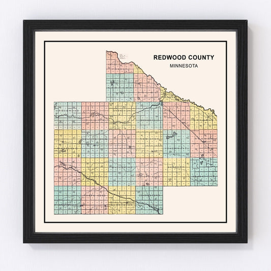 Vintage Map of Redwood County, Minnesota 1907