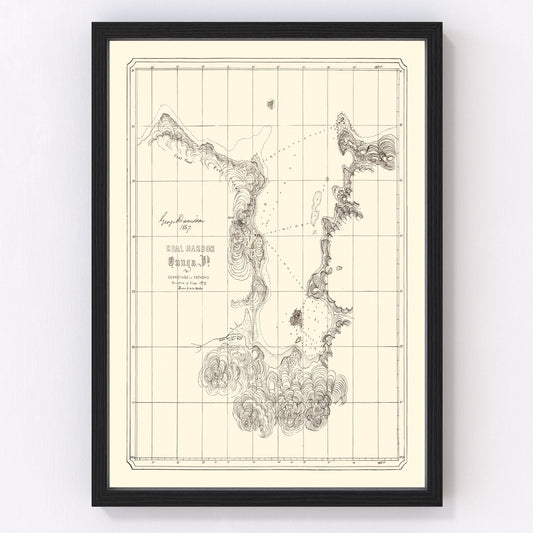 Vintage Coal Harbor Map 1867