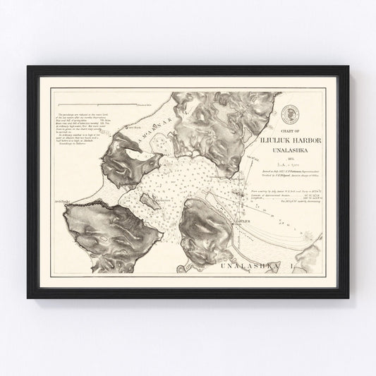 Vintage Iliuliuk Harbor, Unalashka Map 1875