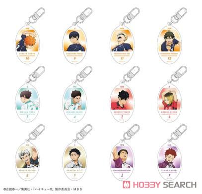 Haikyu!! Round Keyring Blind Box - Trading Character Keychain (1 Random)