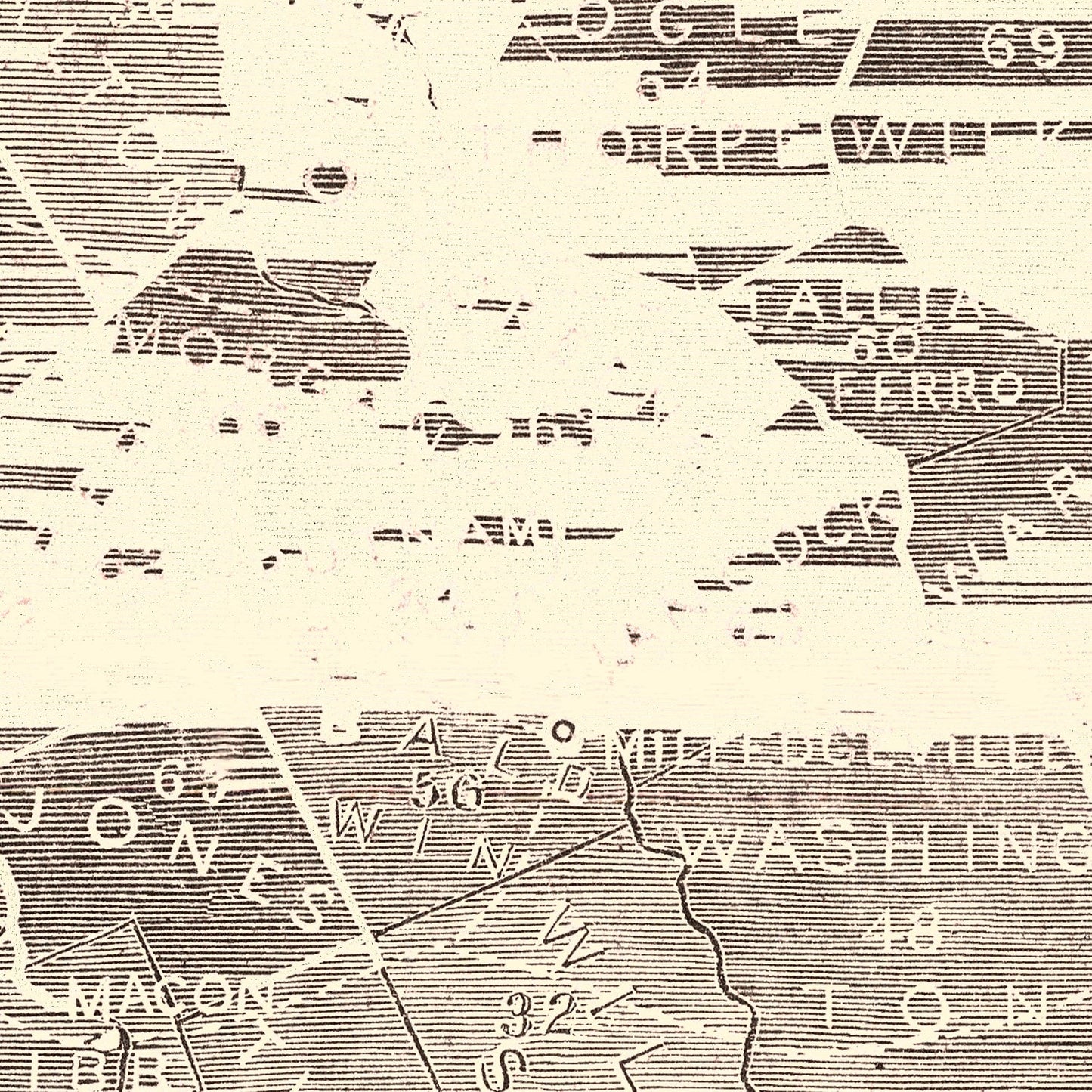 Vintage Georgia Slave Map 1861
