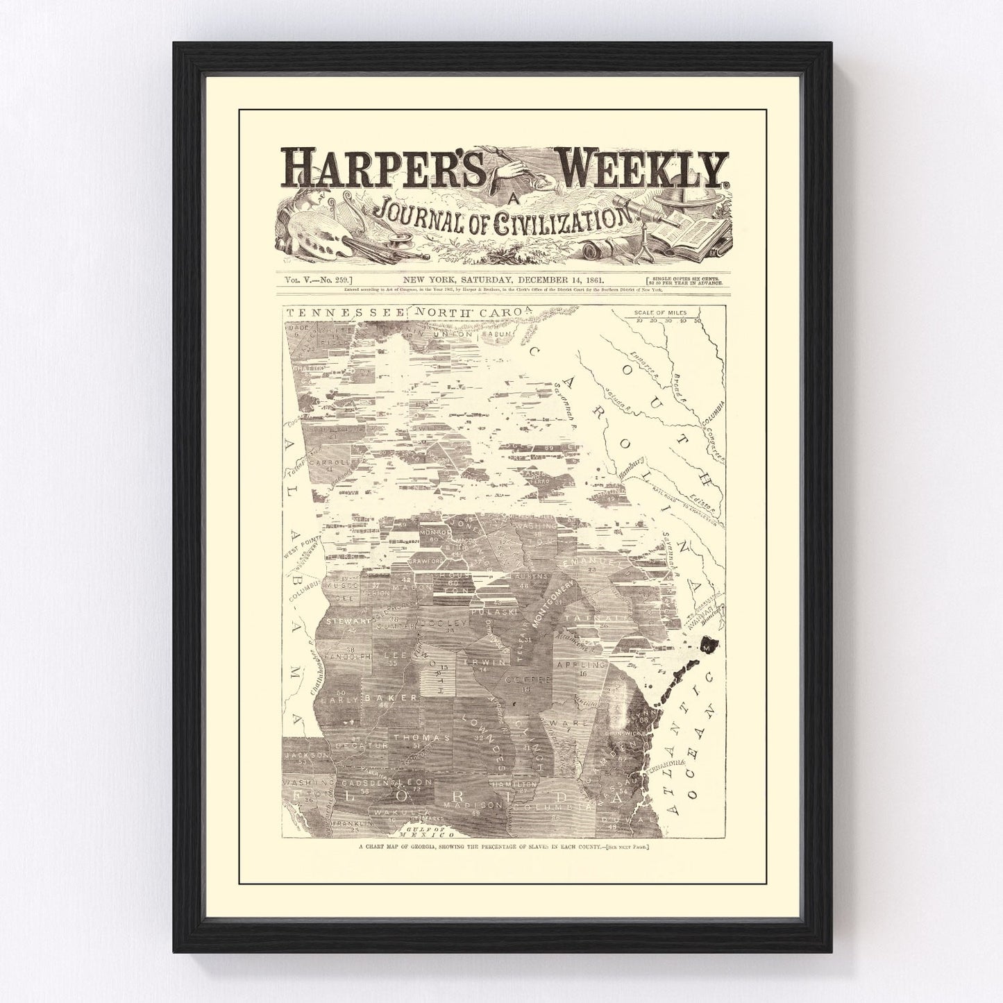 Vintage Georgia Slave Map 1861