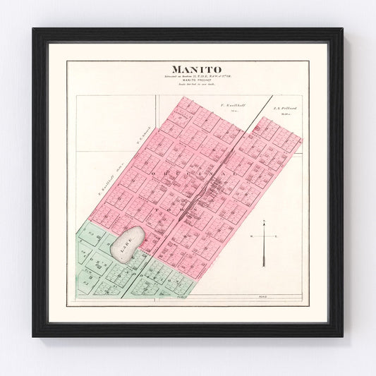 Vintage Map of Manito, Illinois 1891