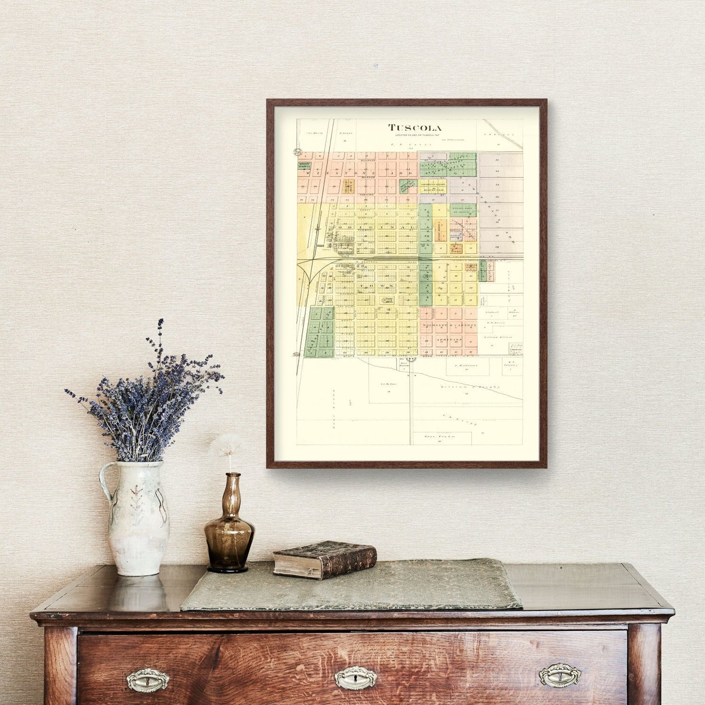 Vintage Map of Tuscola, Illinois 1893