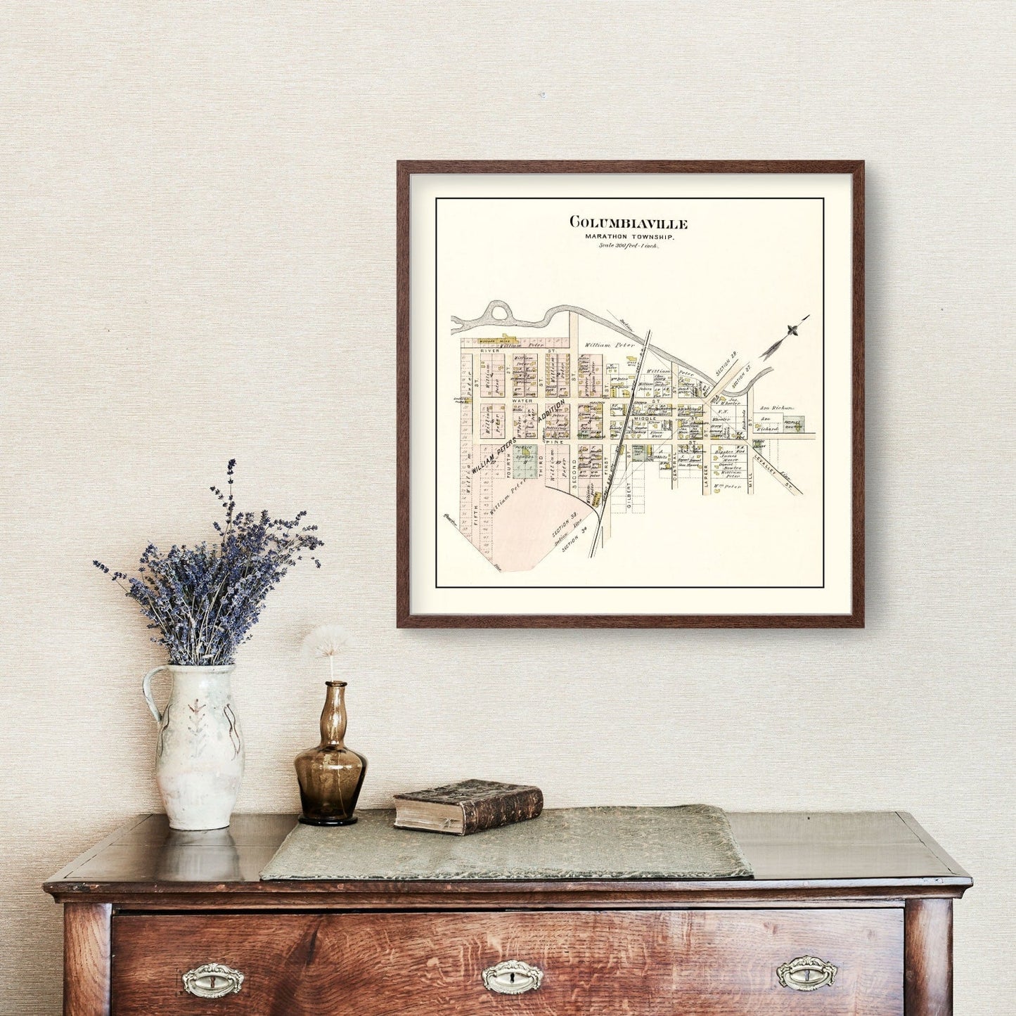 Vintage Map of Columbiaville, Michigan 1893