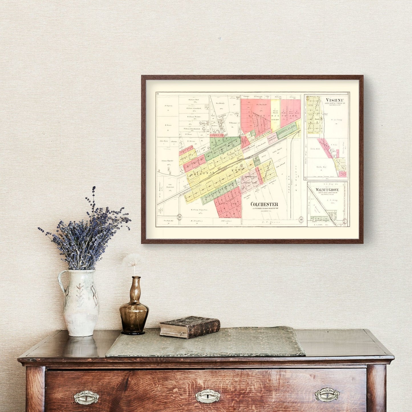 Vintage Map of Colchester, Illinois 1893