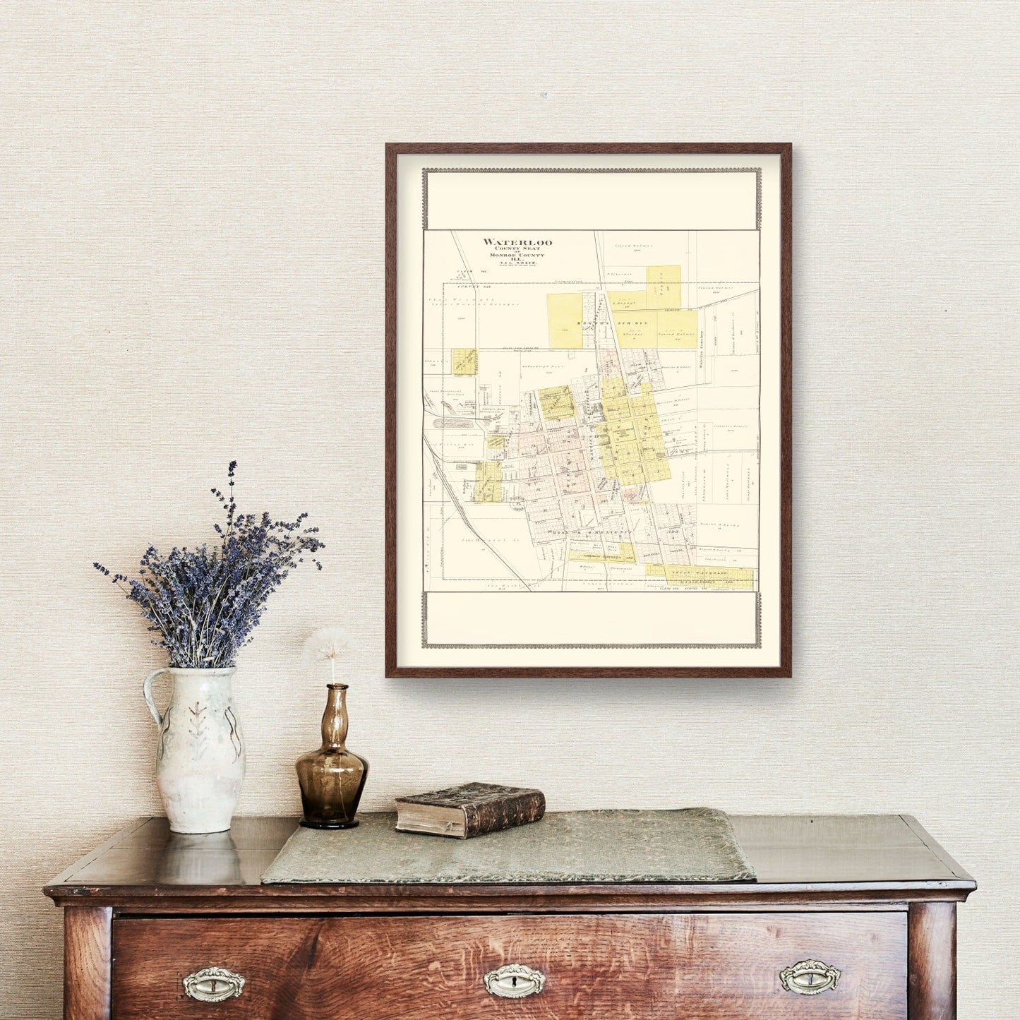Vintage Map of Waterloo, Illinois 1901