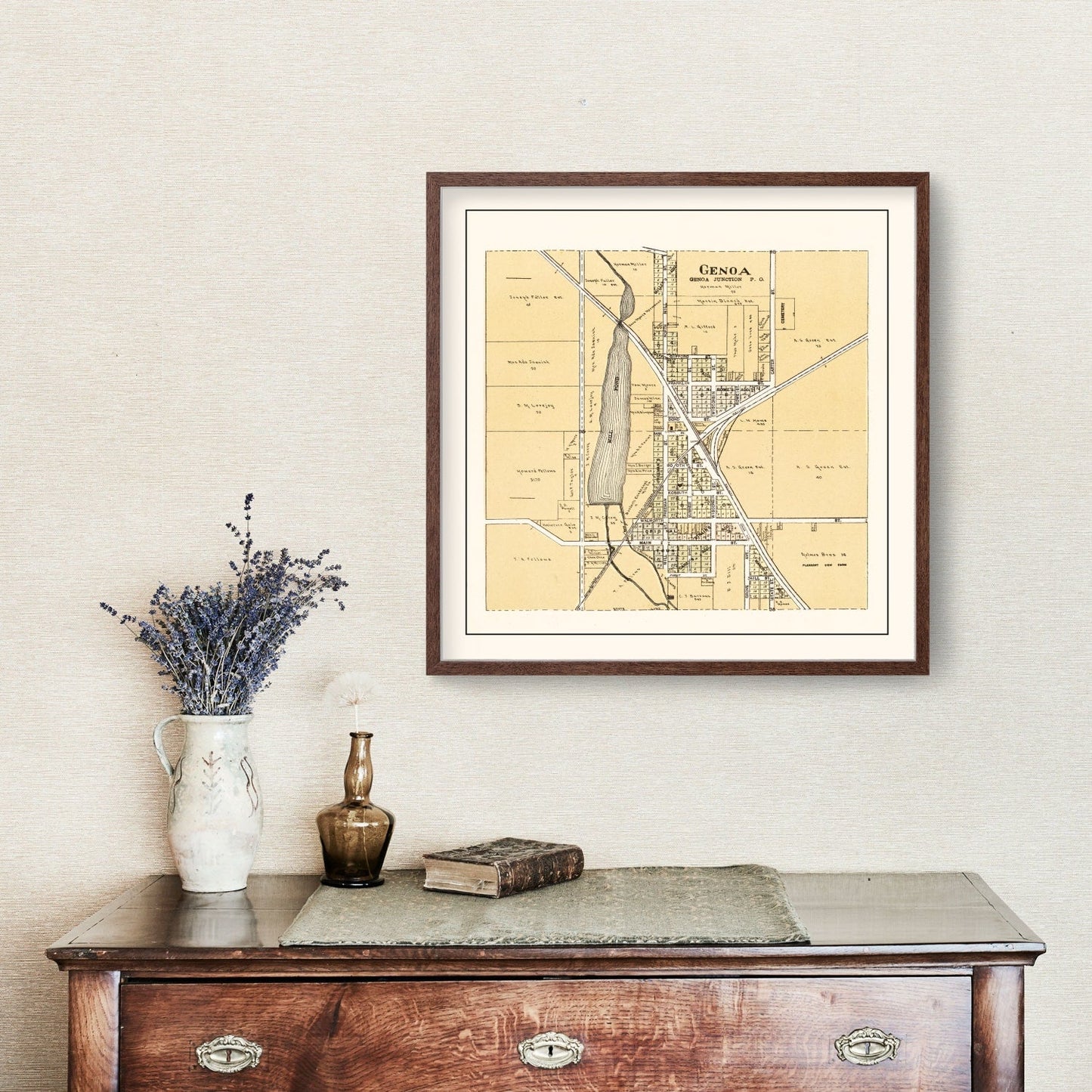 Vintage Map of Genoa, Wisconsin 1907