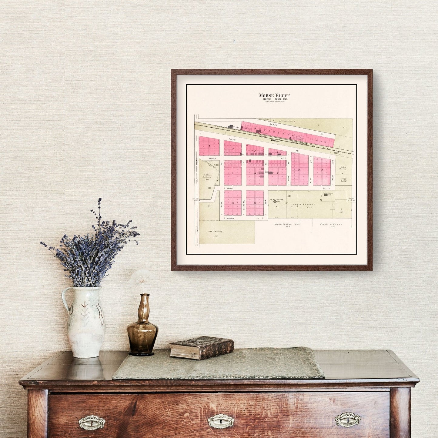 Vintage Map of Morse Bluff, Nebraska 1907